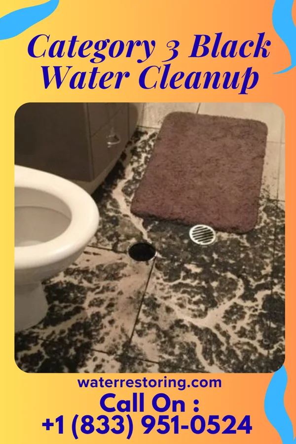 Category 3 Black Water Cleanup in Syracuse, MO